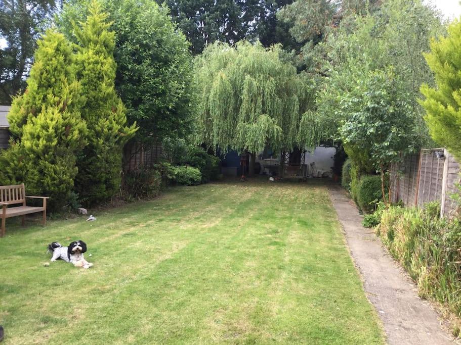 The Studio, Ascot Winkfield Extérieur photo